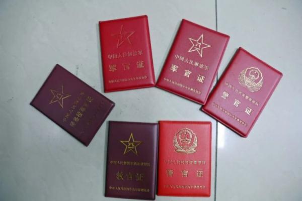 金彩网官网